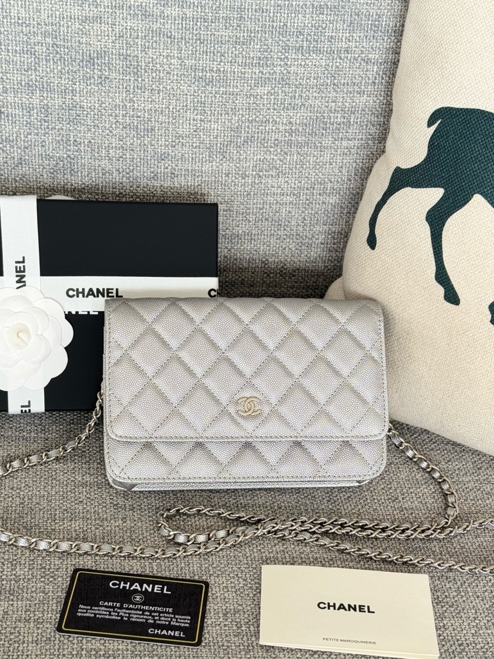 CHANEL Silver Quilted Wallet-on-Chain Crossbody